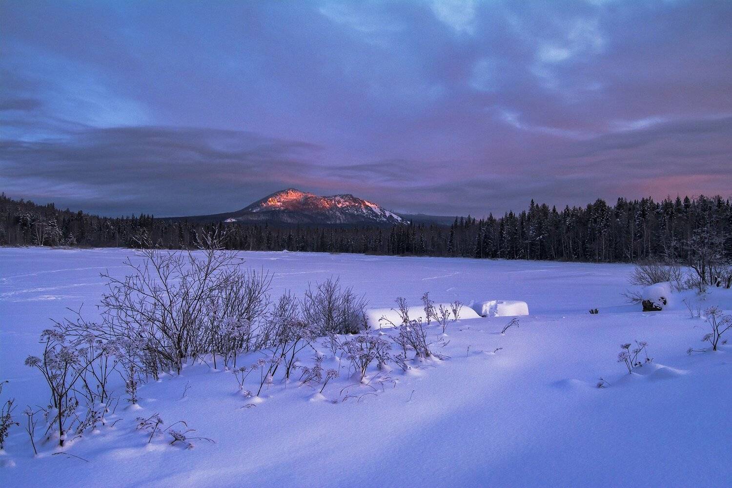 , Андрей Шарапов