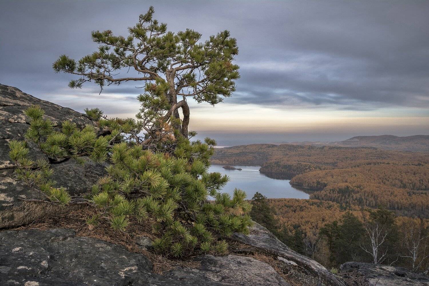 , Андрей Шарапов