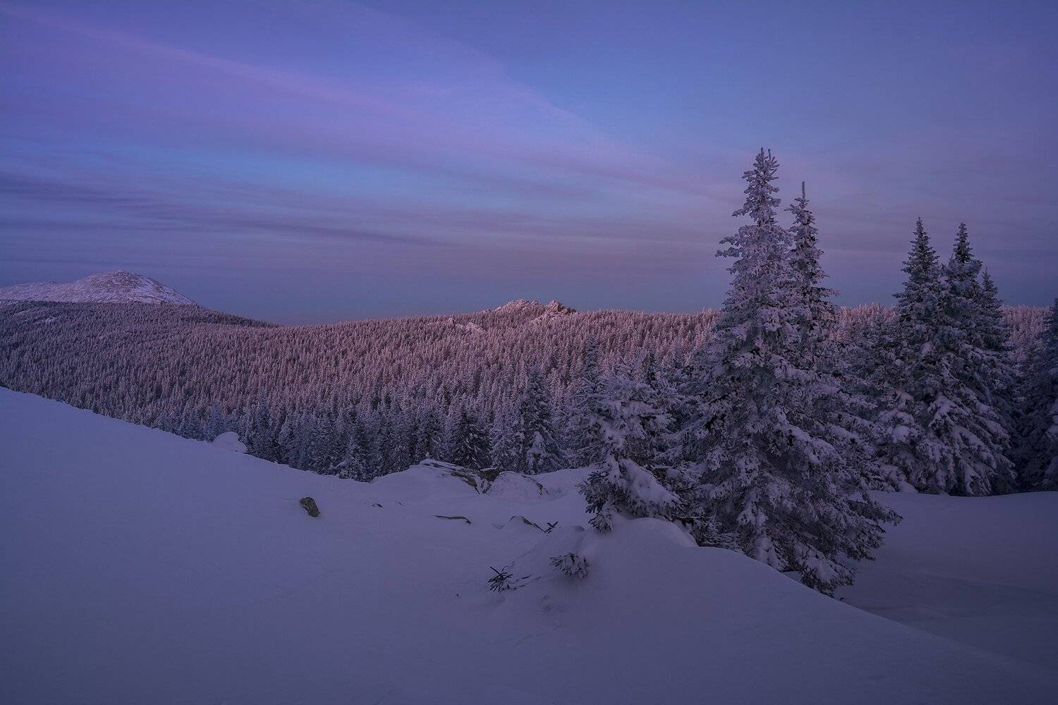, Андрей Шарапов