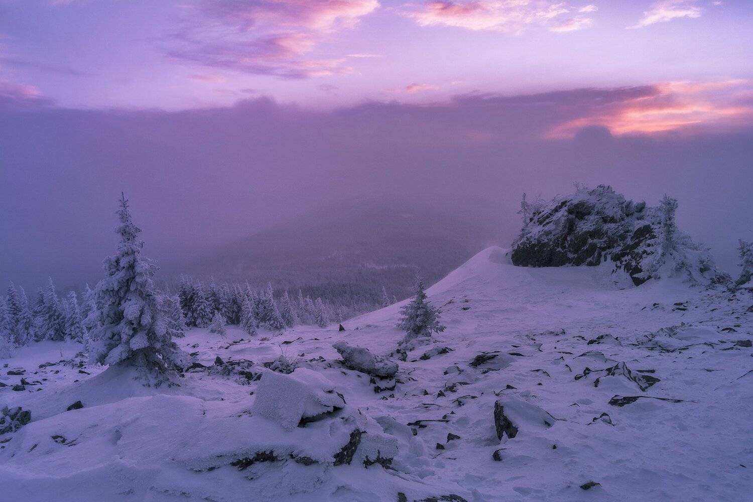, Андрей Шарапов