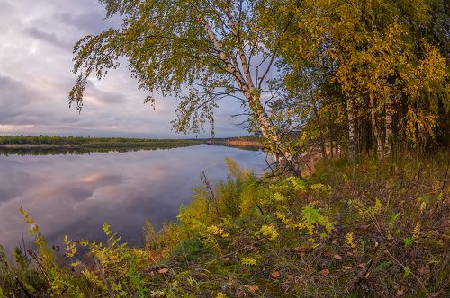разноцветная осень