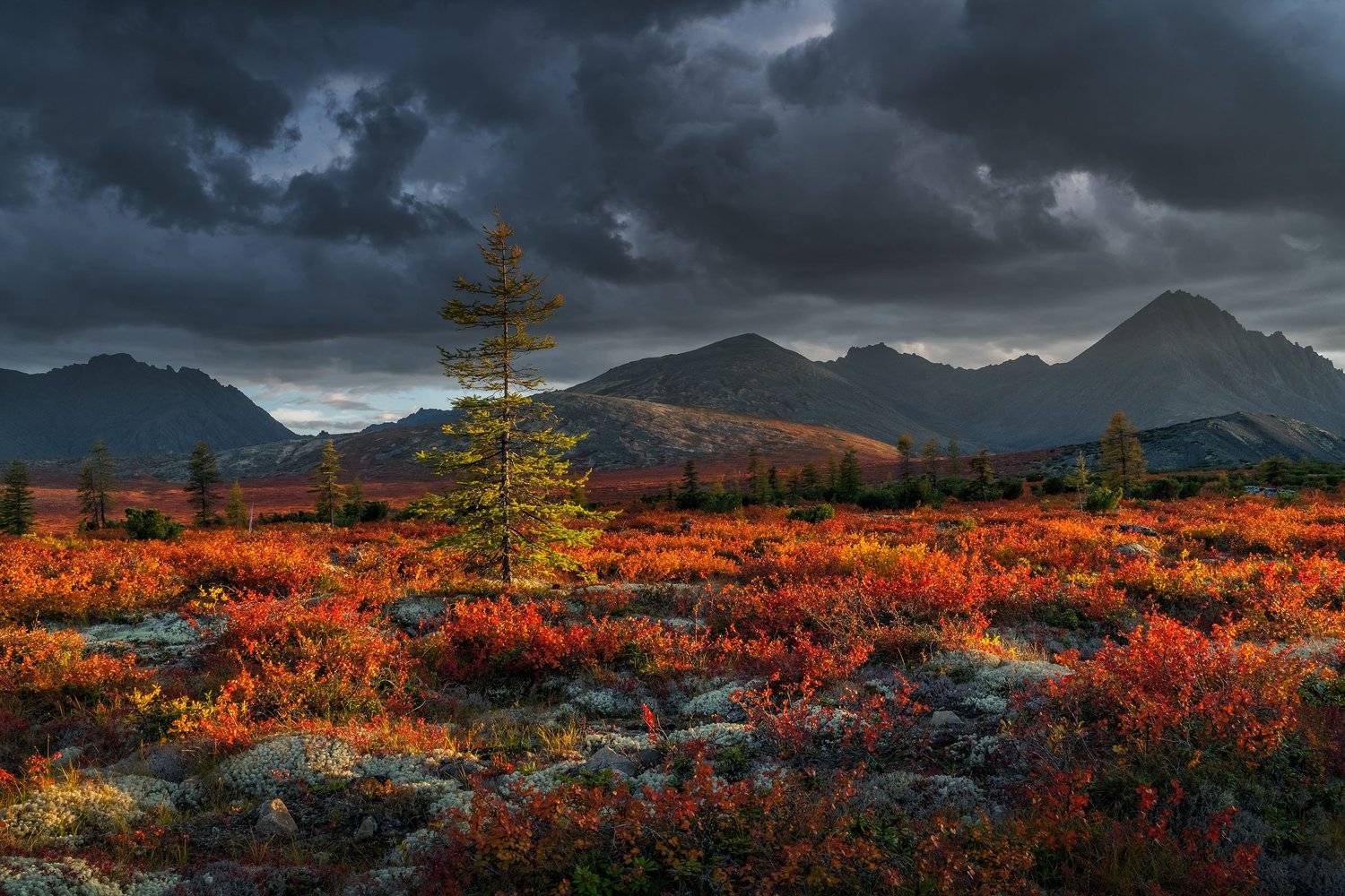 фототуры с владимиром рябковым, колыма, озеро джека лондона., Владимир Рябков