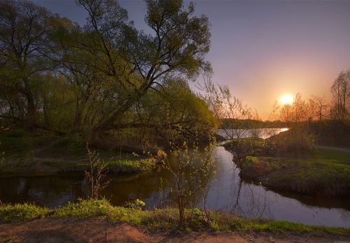 / Подмосковные дебри /