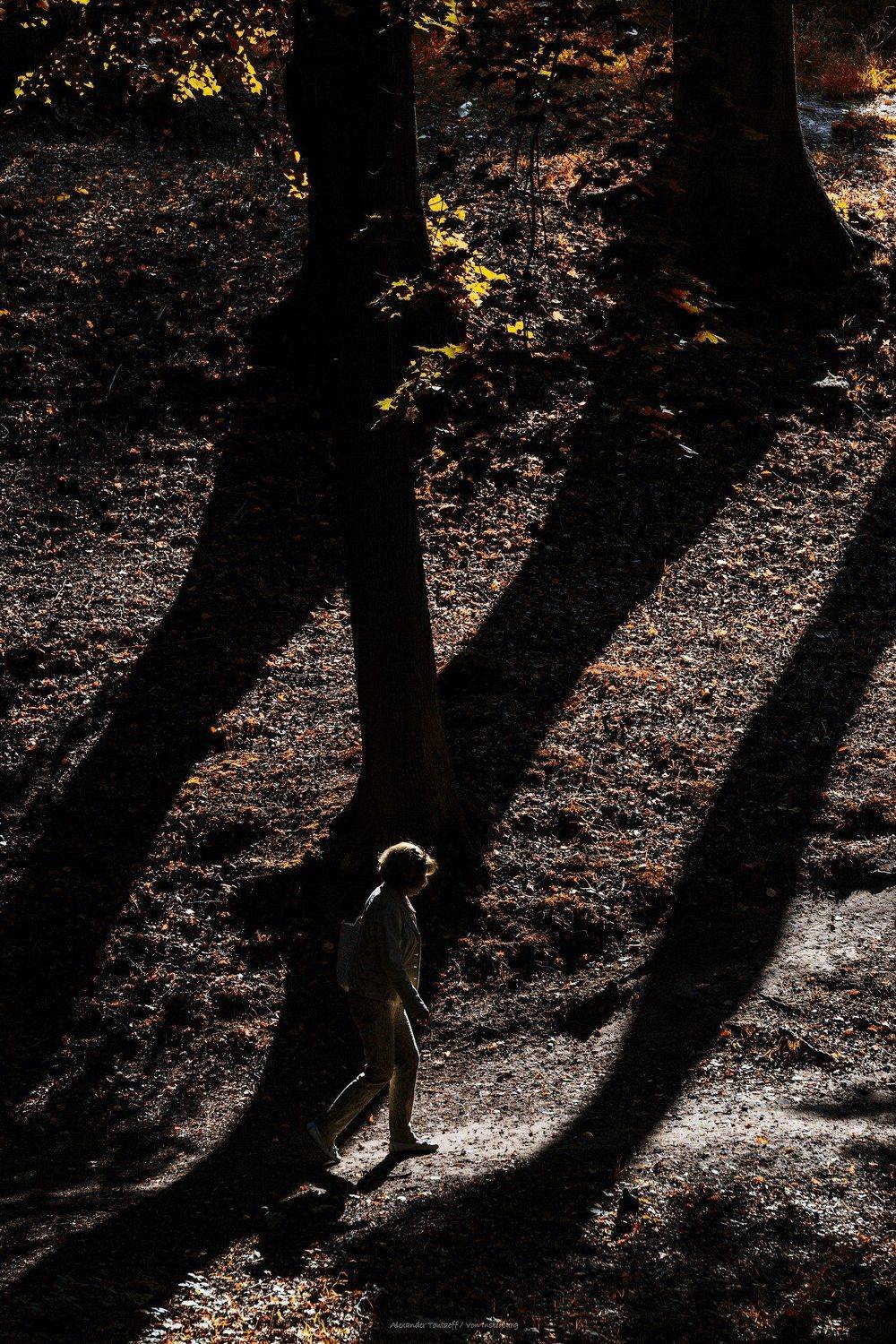 Люди, город, улица, жанр, свет, тени, человек, деревья, парк, осень, , АлександрТутаев