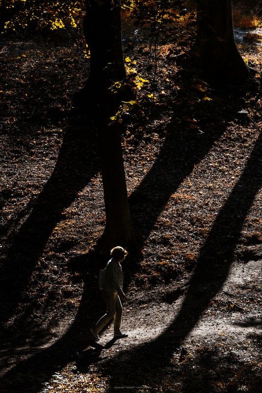 Люди, город, улица, жанр, свет, тени, человек, деревья, парк, осень,  *** фото превью