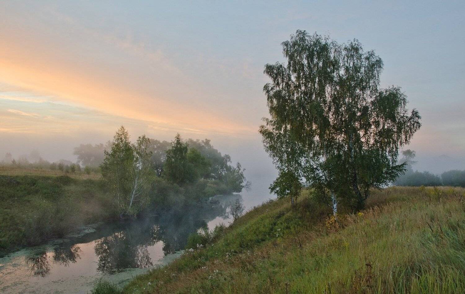 утро, природа, пейзаж, берёзы, склон, Михаил Агеев