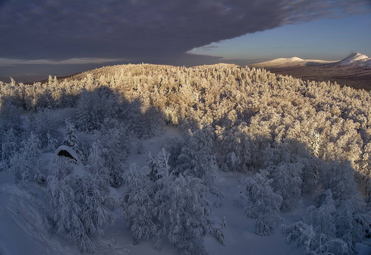 , Андрей Шарапов