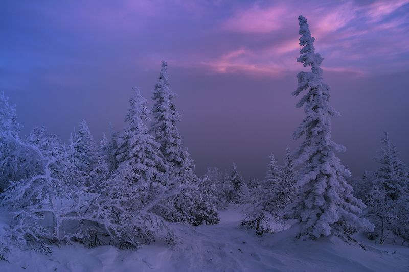 Где-то там, мой дом фото превью