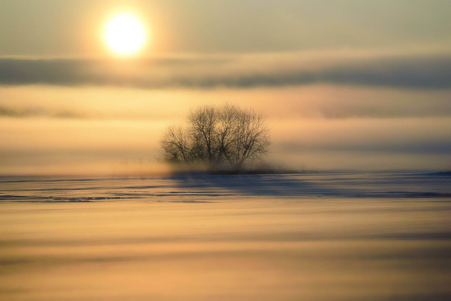 утро, восход, мороз, туман, Владимир Штыриков