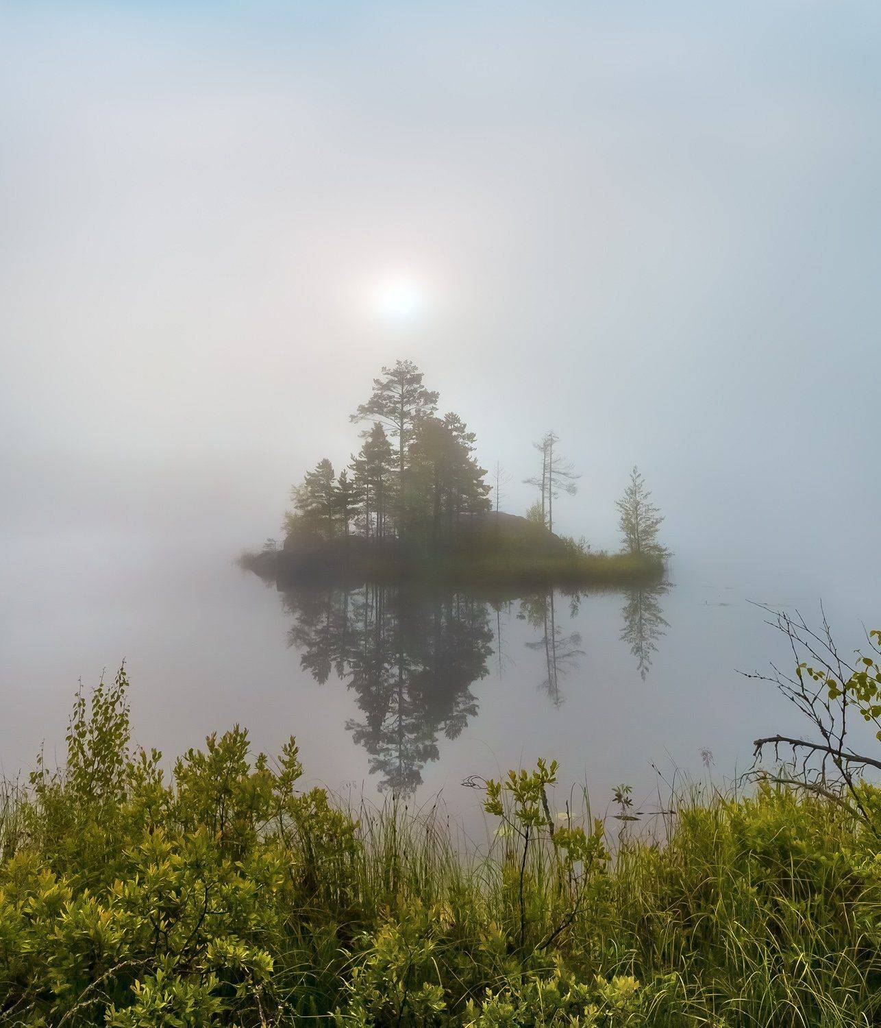 фототур, лето, ленинградская область, деревья, сосна, остров, озеро, рассвет, отражение, туман, утро, отдых, путешествие, туризм., Лашков Фёдор