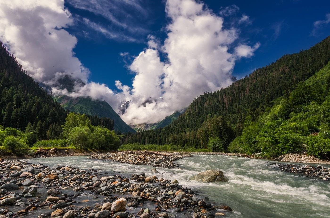 , Игорь Мелекесцев