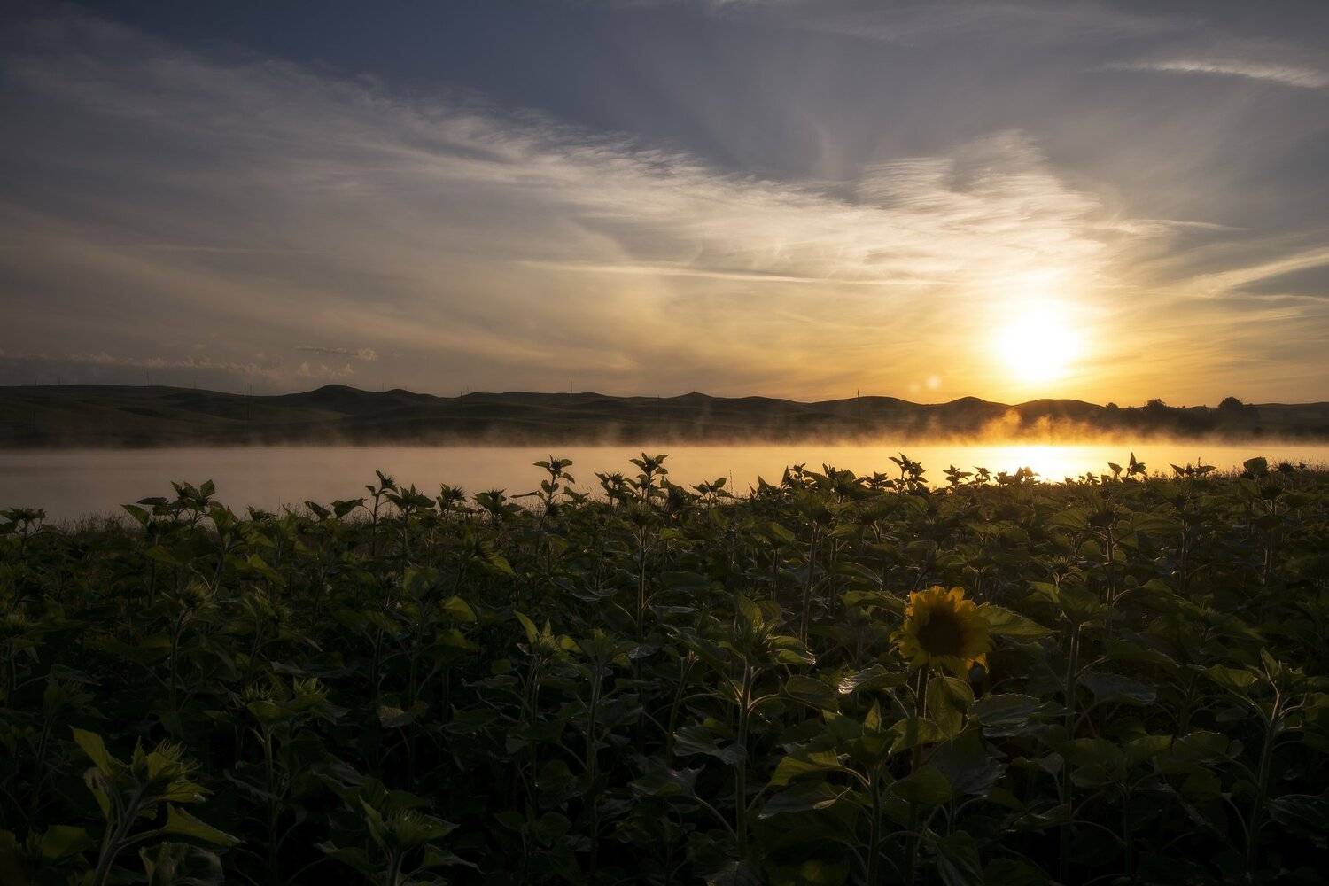 , Андрей Шарапов