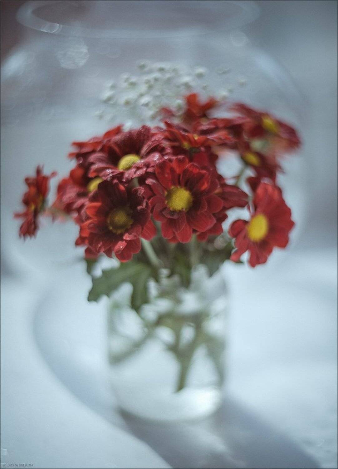 , Ариадна Белкина