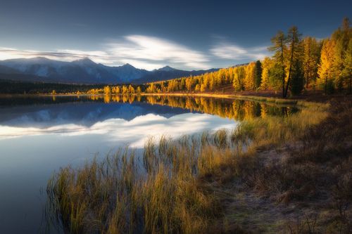 Осень на Киделю