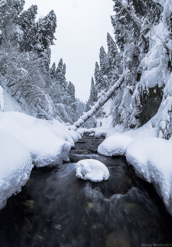 Домбай, КАВКАЗ, река	 Стою в студеной и стыну фото превью