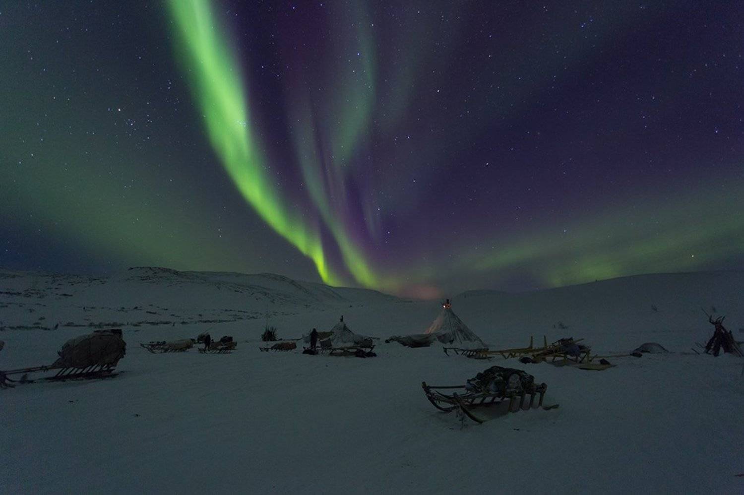 , Щипкова Елена