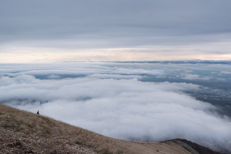 Кавказ, Бештау, КМВ Вид с вершины Бештау фото превью