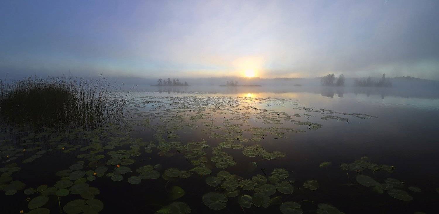 , Александр Нагибин