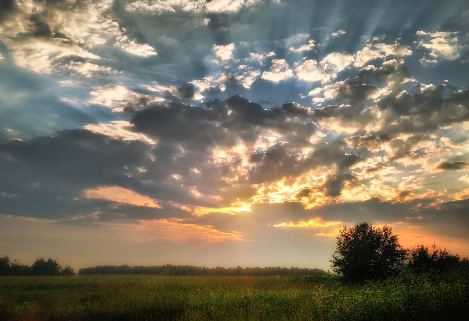 , Алексей Никонов