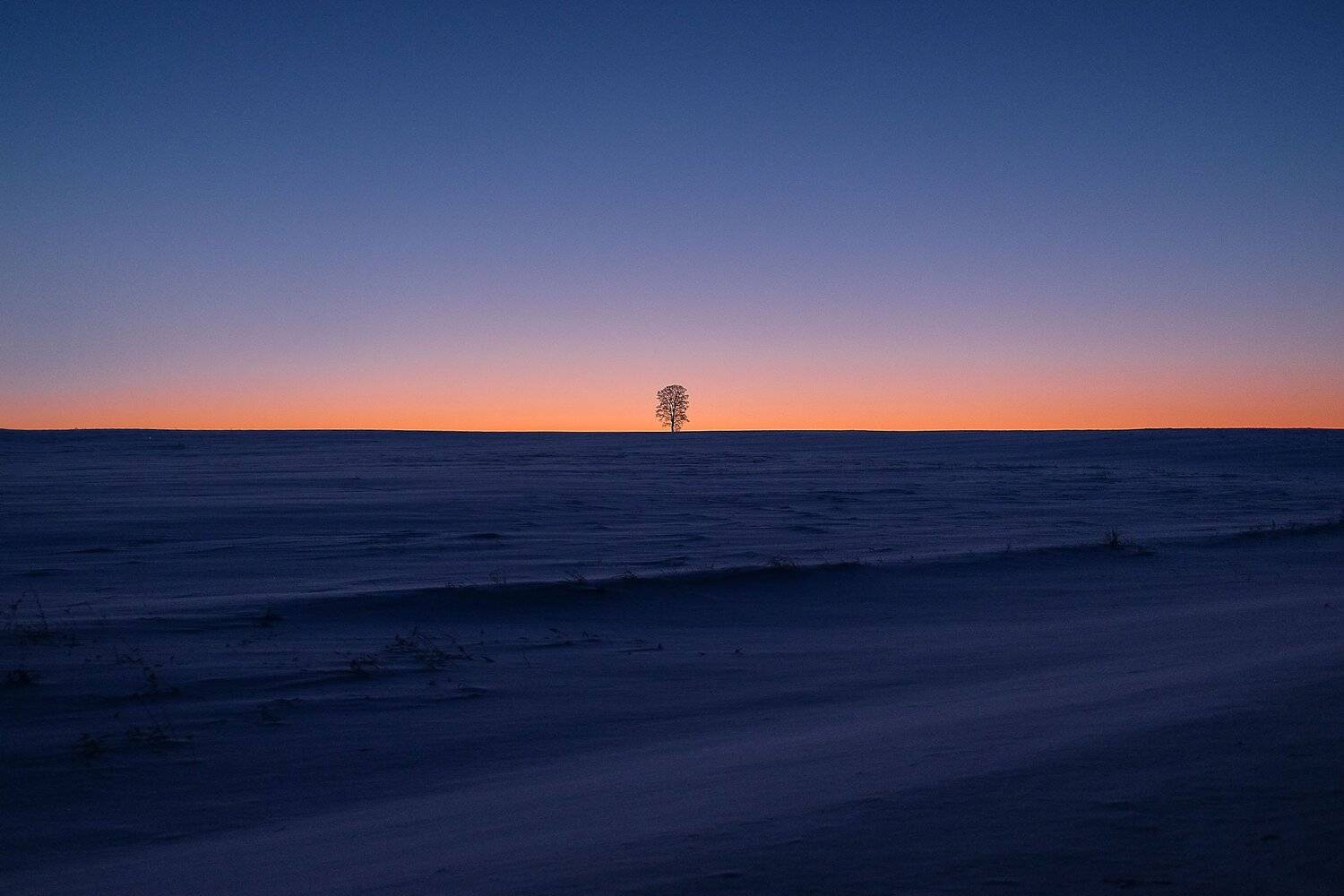 , Максимова Людмила