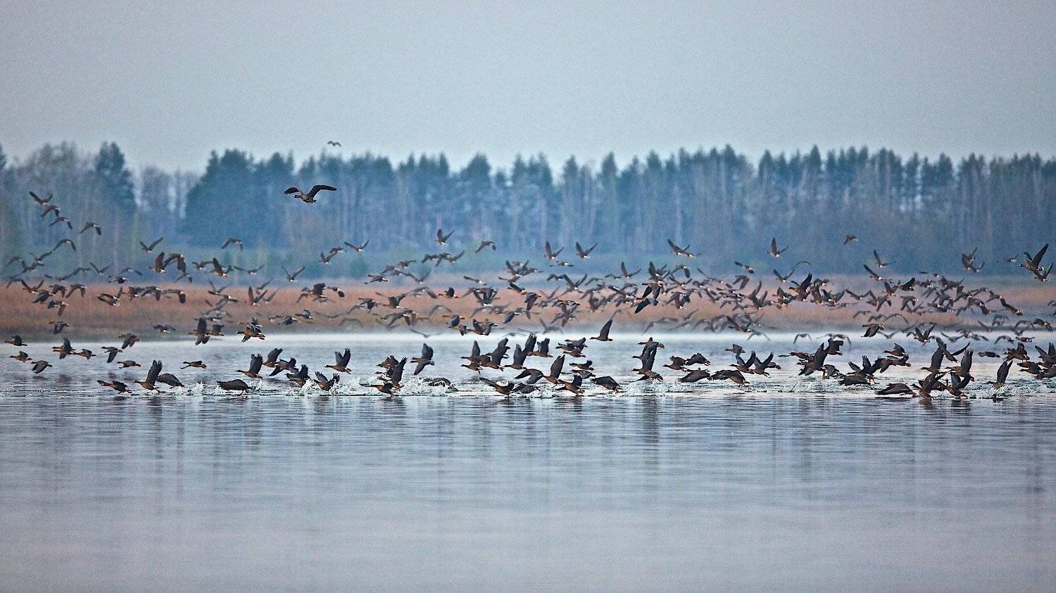 , Мазурин Евгений