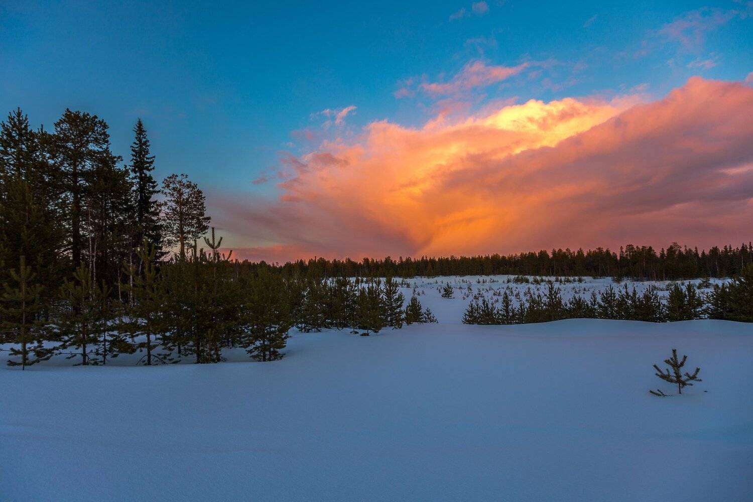 печора,закат,, Анатолий