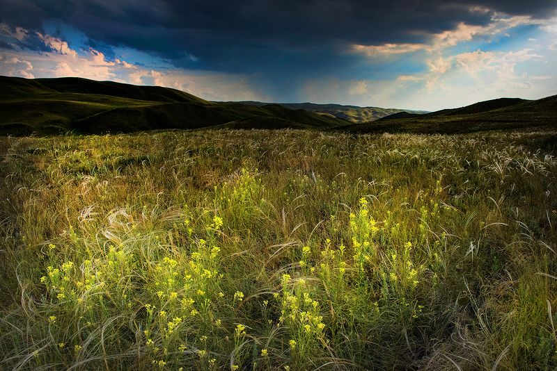 степь перед дождём фото превью