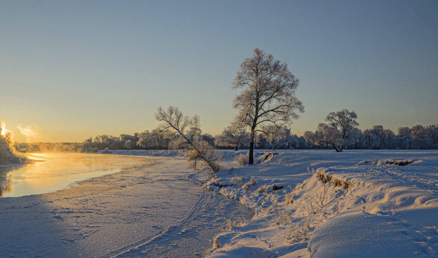 березуцкий александр, утро, андреевский луг, Александр Березуцкий