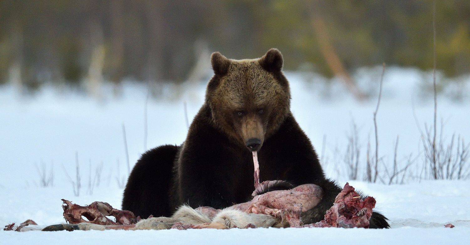 , Сергей Урядников