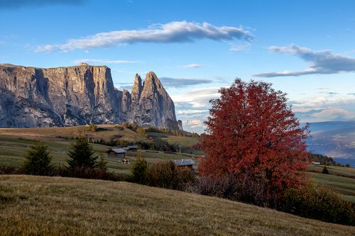 Alpe di Siusi