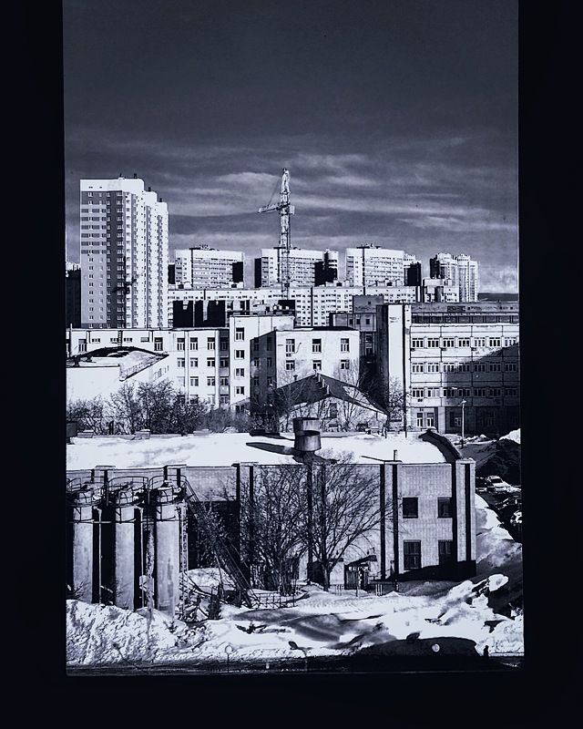 Муравейник фото превью