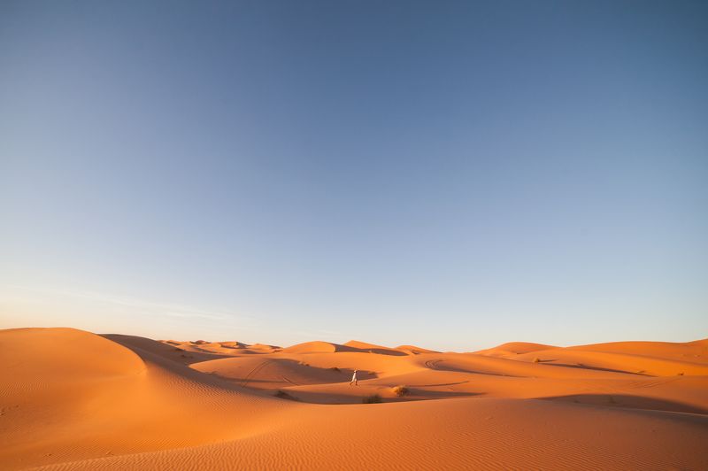 Открытка из пустыни фото превью