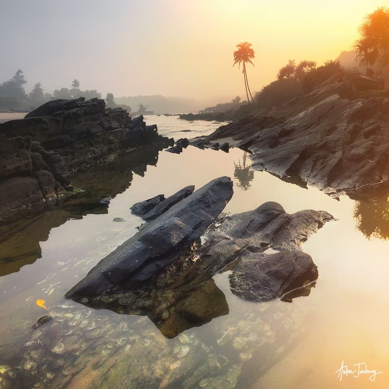 india, maharashtra, sea, rocks, tree, feflection, sunrise, beach  индия, махараштра, море, пляж, камни, скалы, отражение Sunlight Dancing фото превью