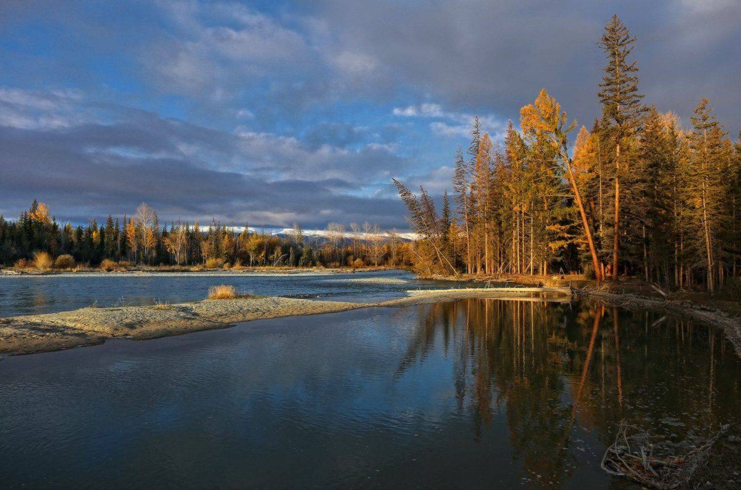 , Галина Хвостенко