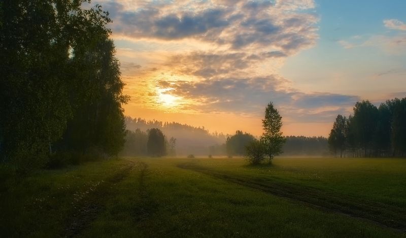 летнее утро,рассвет,луг,солнце, Медовый рассвет фото превью