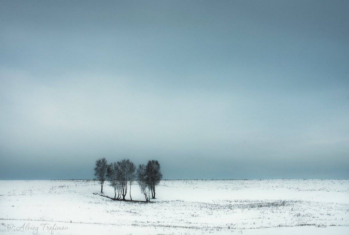 , Алексей Трофимов