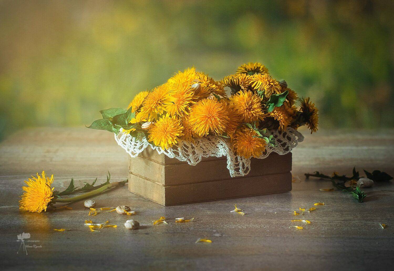 , Инна Сухова