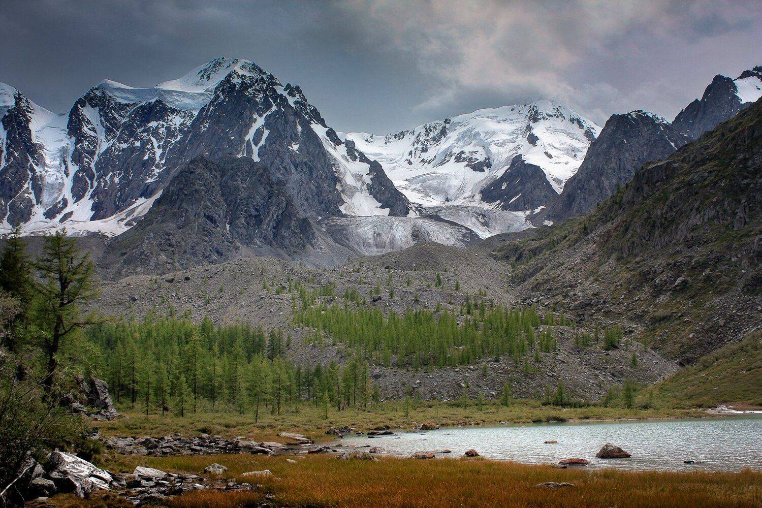 алтай шавла, Сергей Сотников