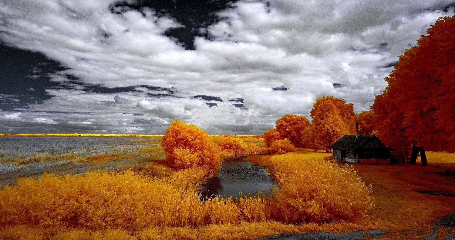 infrared,ик-фото,инфракрасное фото,инфракрасная фотография,пейзаж,природа,беларусь,лето, Sixten ( Сергей )