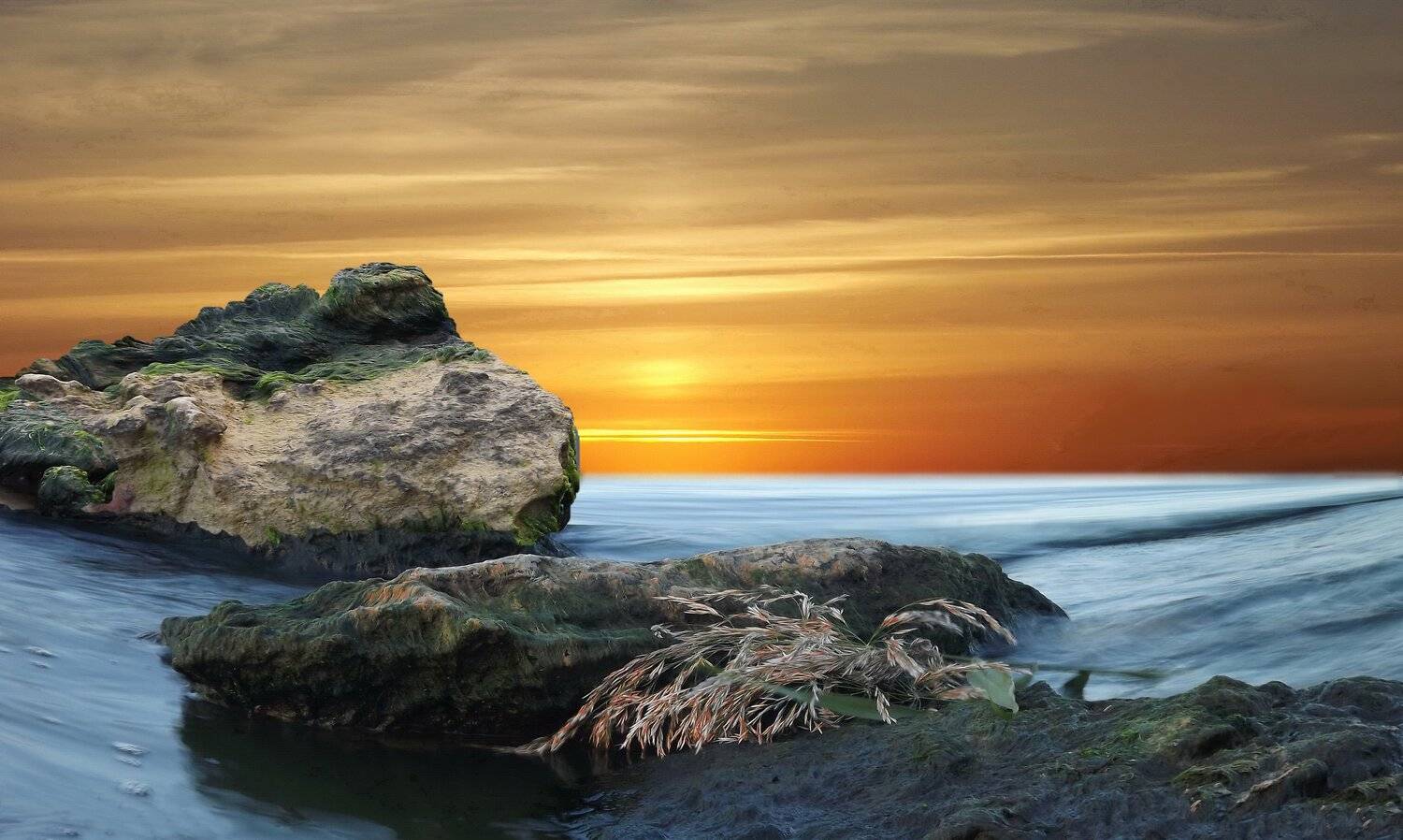 одесса, Сергей Кошелев