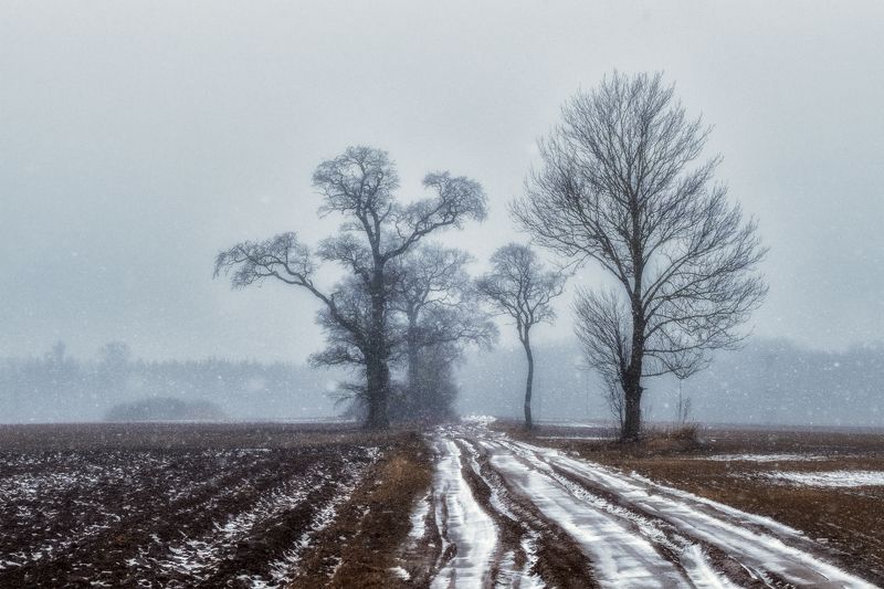 Периферия фото превью