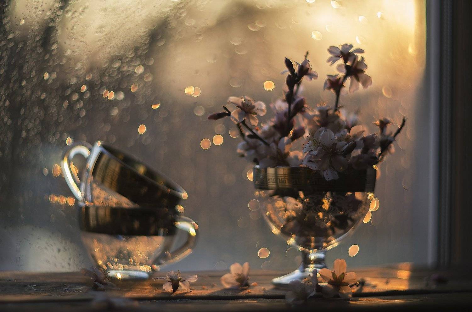 миндаль., Елена Вапняр