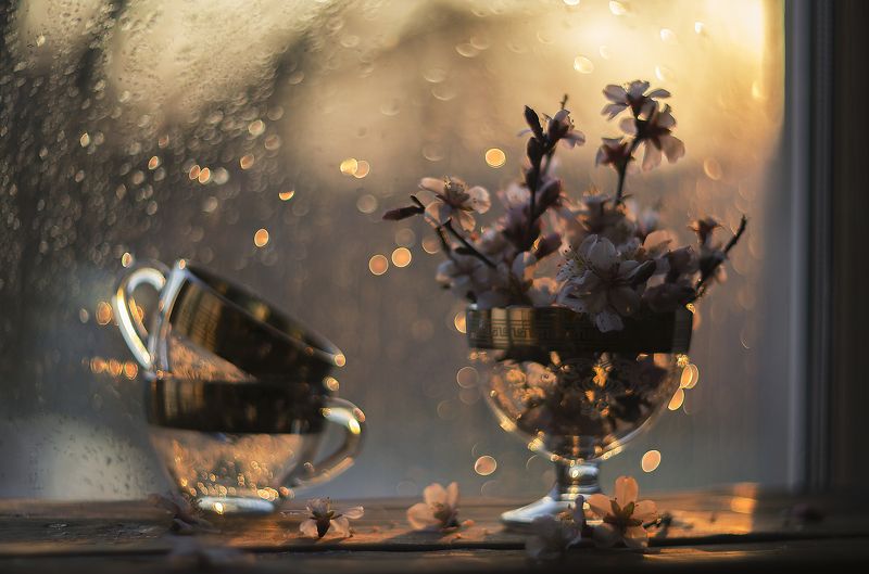 миндаль.  фото превью