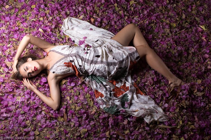 Woman on Bougainvillea petals фото превью