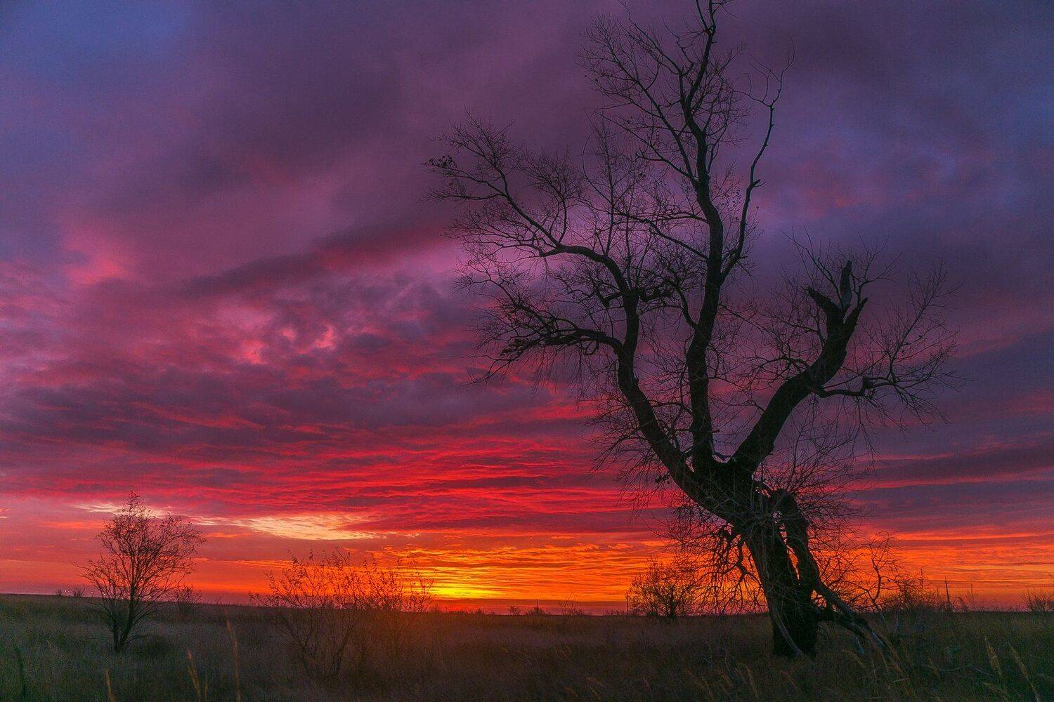 , Павел Сагайдак