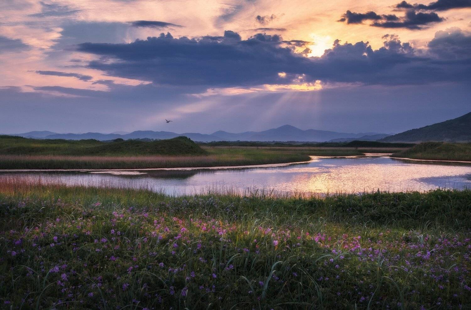 лето, вечер, закат, облака, Андрей Кровлин