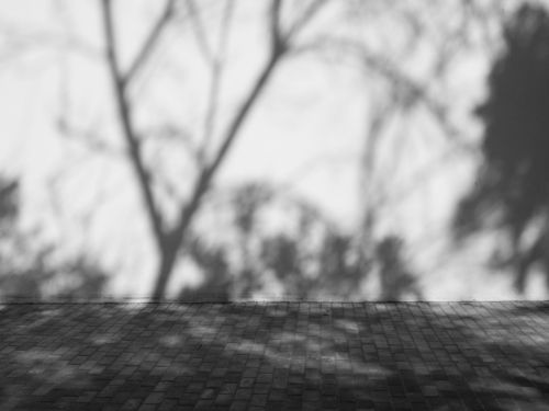Playing with the shadows