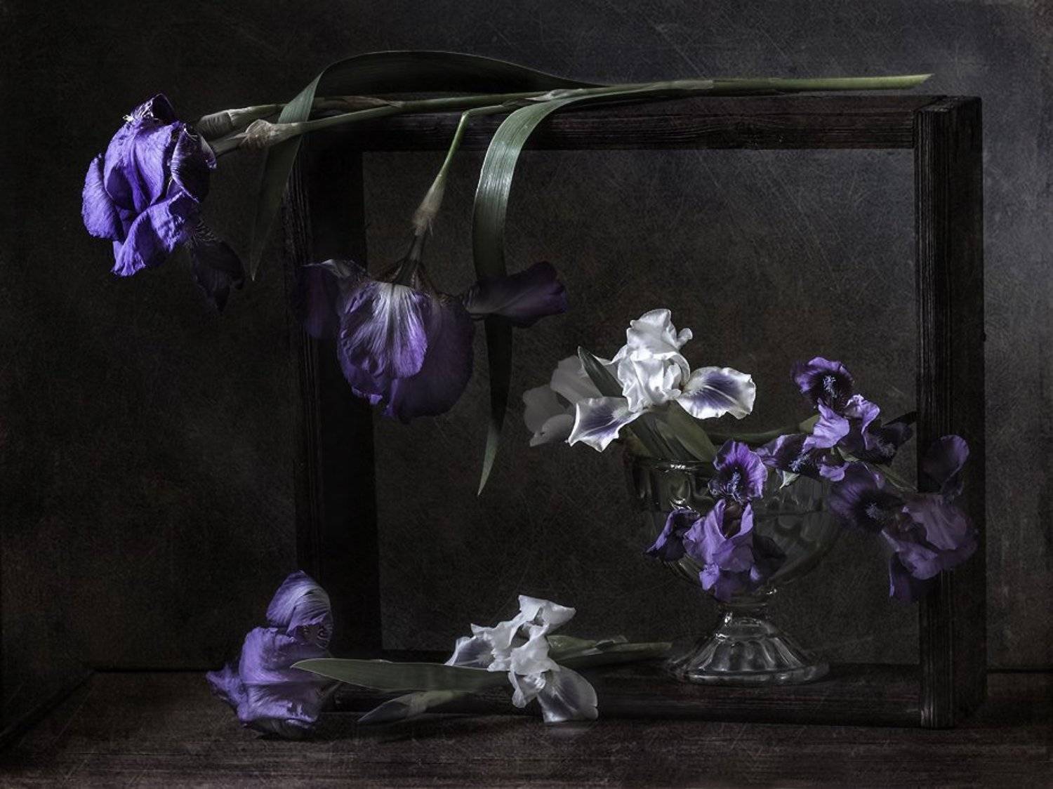 натюрморт, цветы, ирисы, still life, Оля