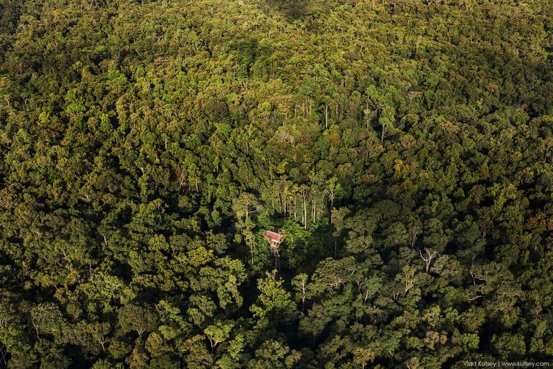 korowai, papua, treehouse, korowaitribe, папуа, короваи, джунгли, домнадереве В полной изоляции фото превью