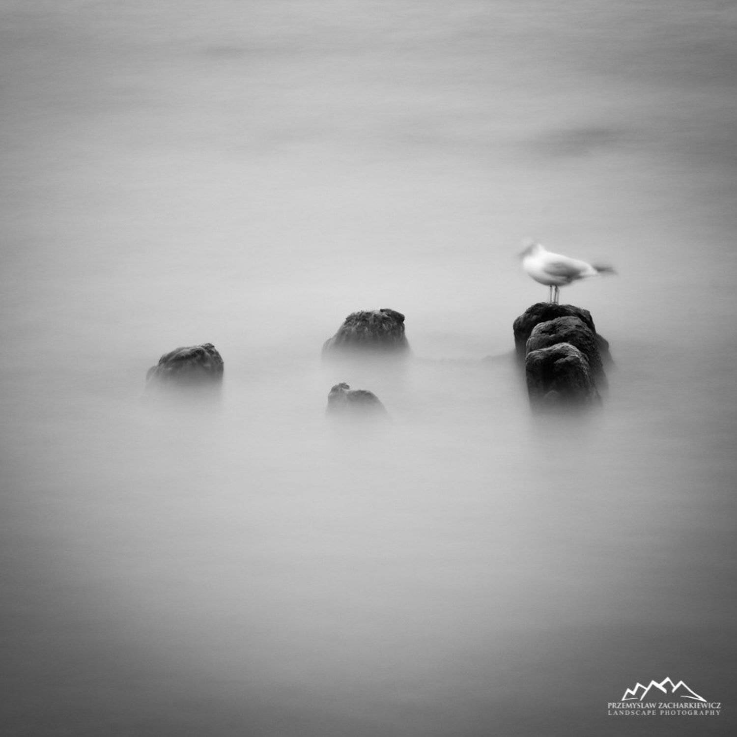 nd, bird, bw, filter, long, exposure, P. Zacharkiewicz
